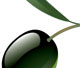 olive icon